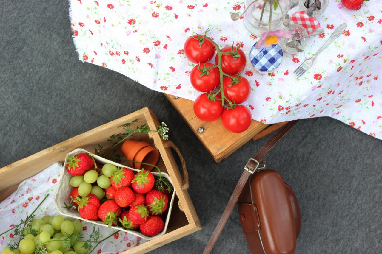 Domenica un picnic di sensibilizzazione sull’ambiente