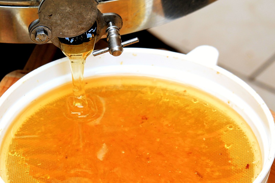 Clima impazzito: gravi conseguenze per la produzione del miele e Como e Lecco