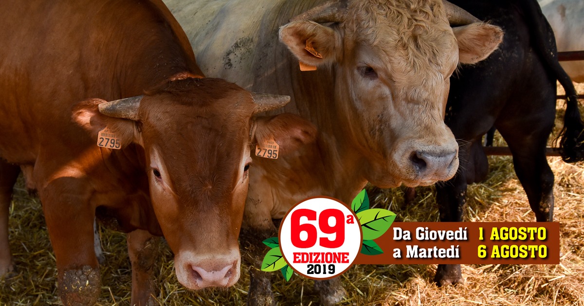 Domani apre la Fiera di Rogoredo a Casatenovo