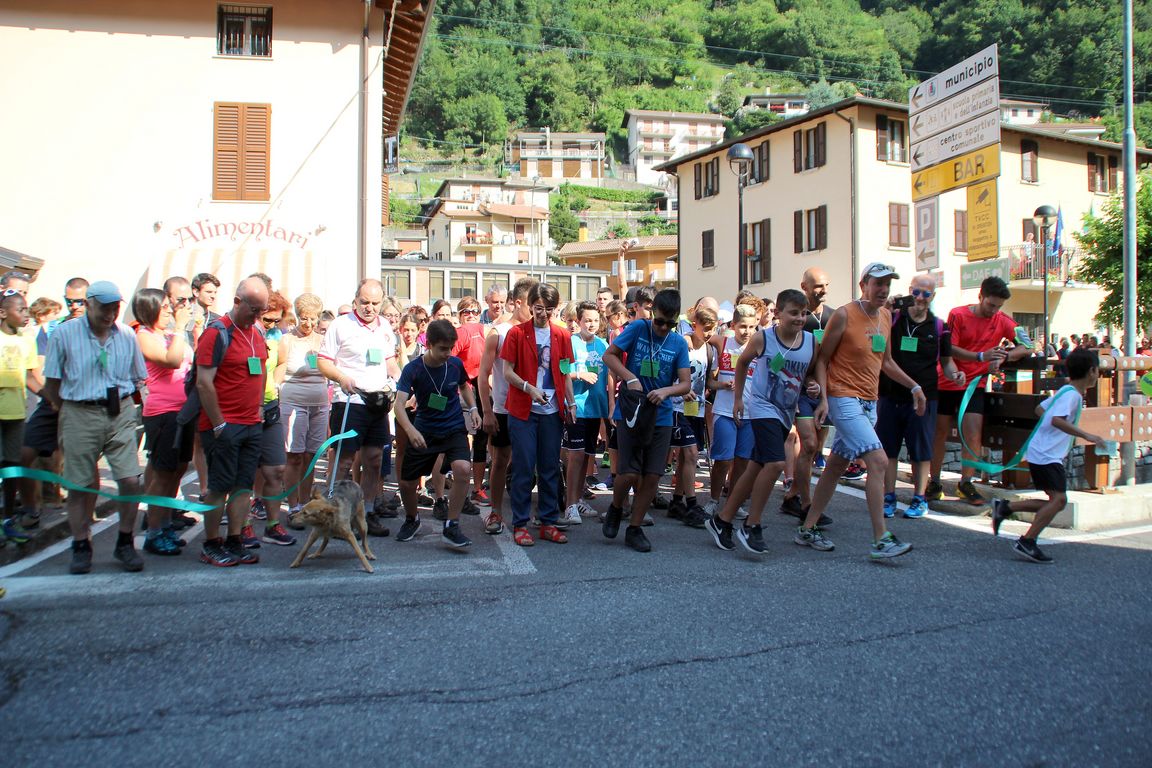 Erve, camminata “4 passi” da record: quasi 700 iscritti