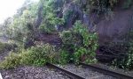 "Tagliate le piante vicino alla ferrovia": scatta l'ordinanza del sindaco, si rischia la denuncia