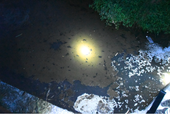 Sversamenti nel torrente Bevera: la questione inquinamento arriva in Regione
