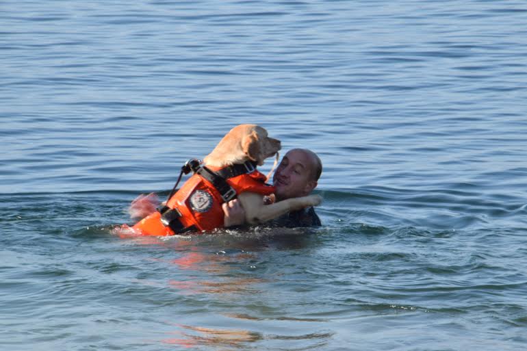 Cuginette rischiano di annegare, salvate dallo zio e dai cani bagnino