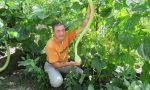 Di padre in figlio: il tromboncino di Danilo Secomandi FOTO