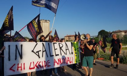 Uccide il gatto del vicino, affrontato dagli animalisti sotto casa FOTO e VIDEO