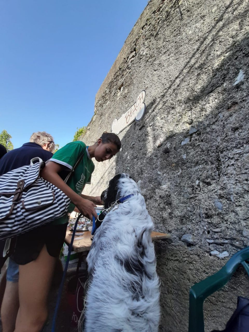 Inaugurata sul lago una nuova spiaggia per cani FOTO