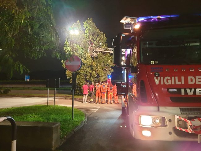 Litiga col fidanzato: attraversa la Statale 36 e si arrampica su un albero FOTO