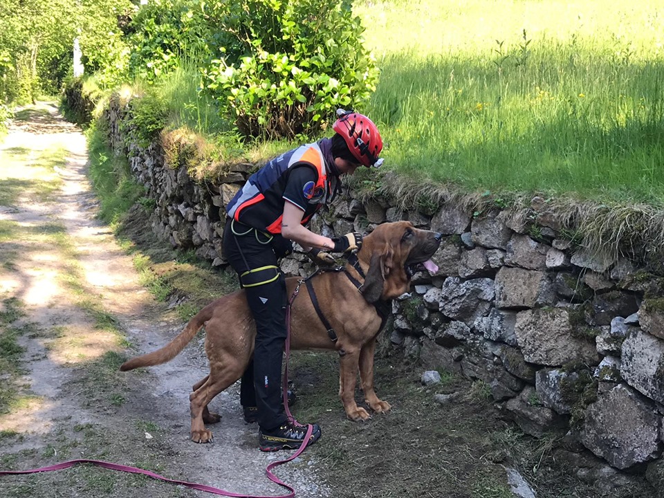 Trovato cadavere nei boschi, forse si tratta dello skyrunner scomparso