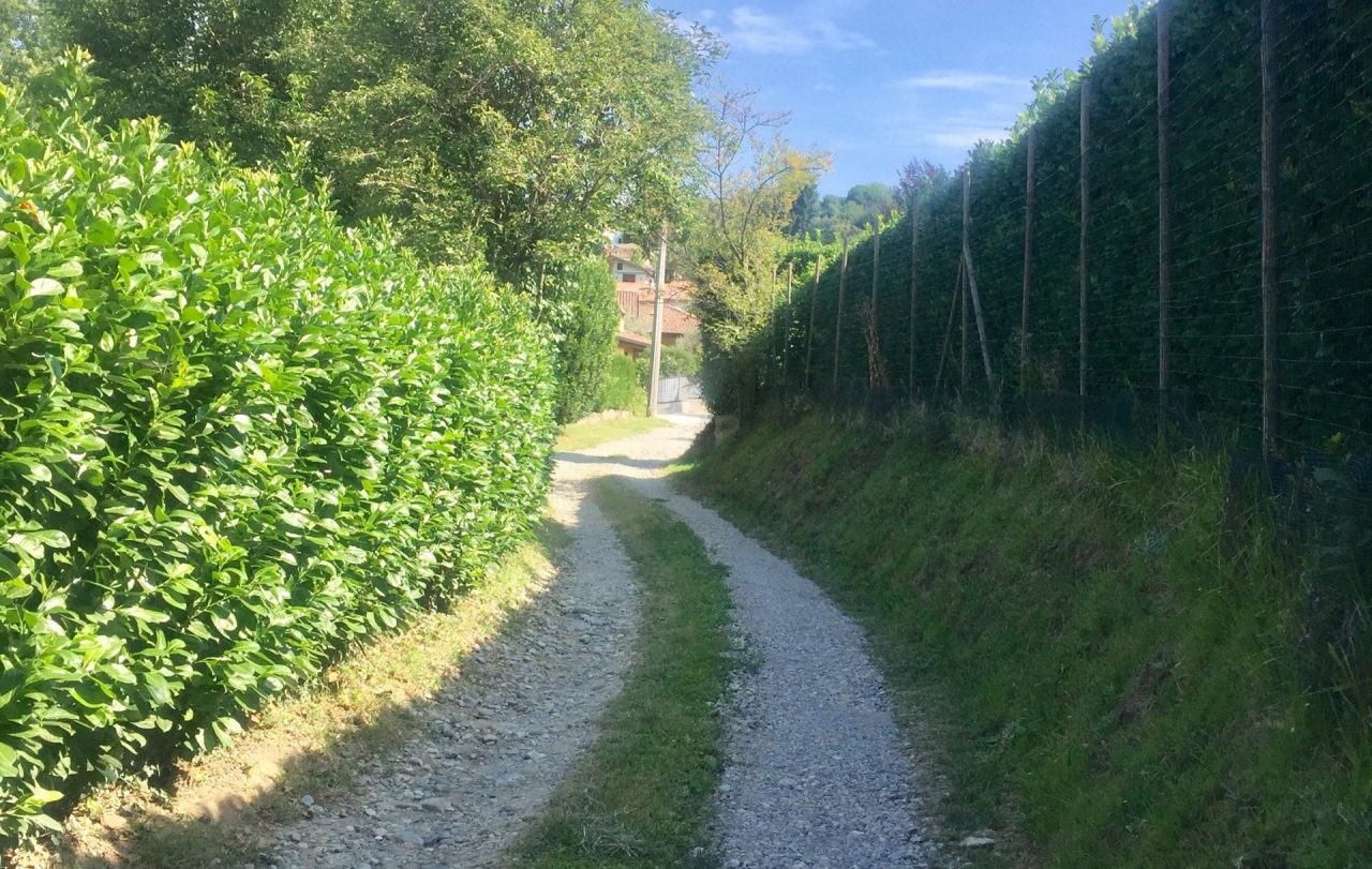 Restyling completo per via Forlanini a Novate