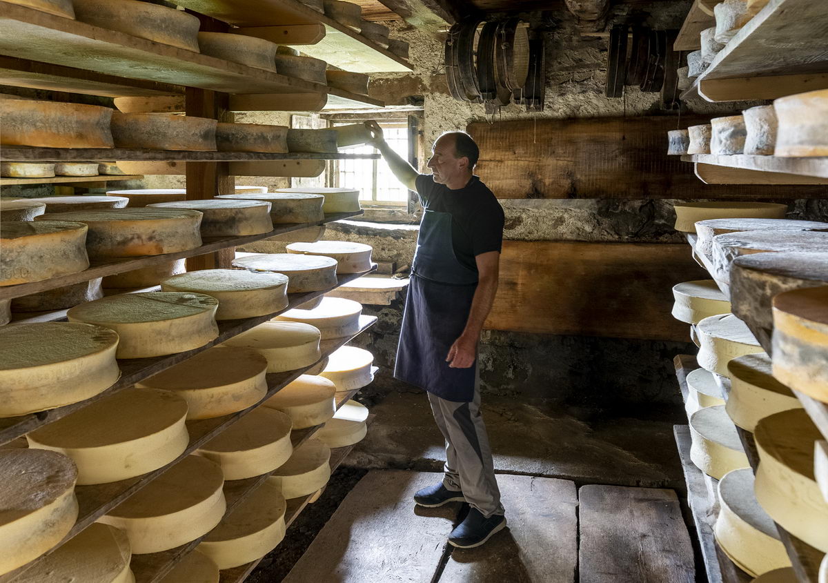A Morbegno, in Valtellina, per la Mostra del Bitto