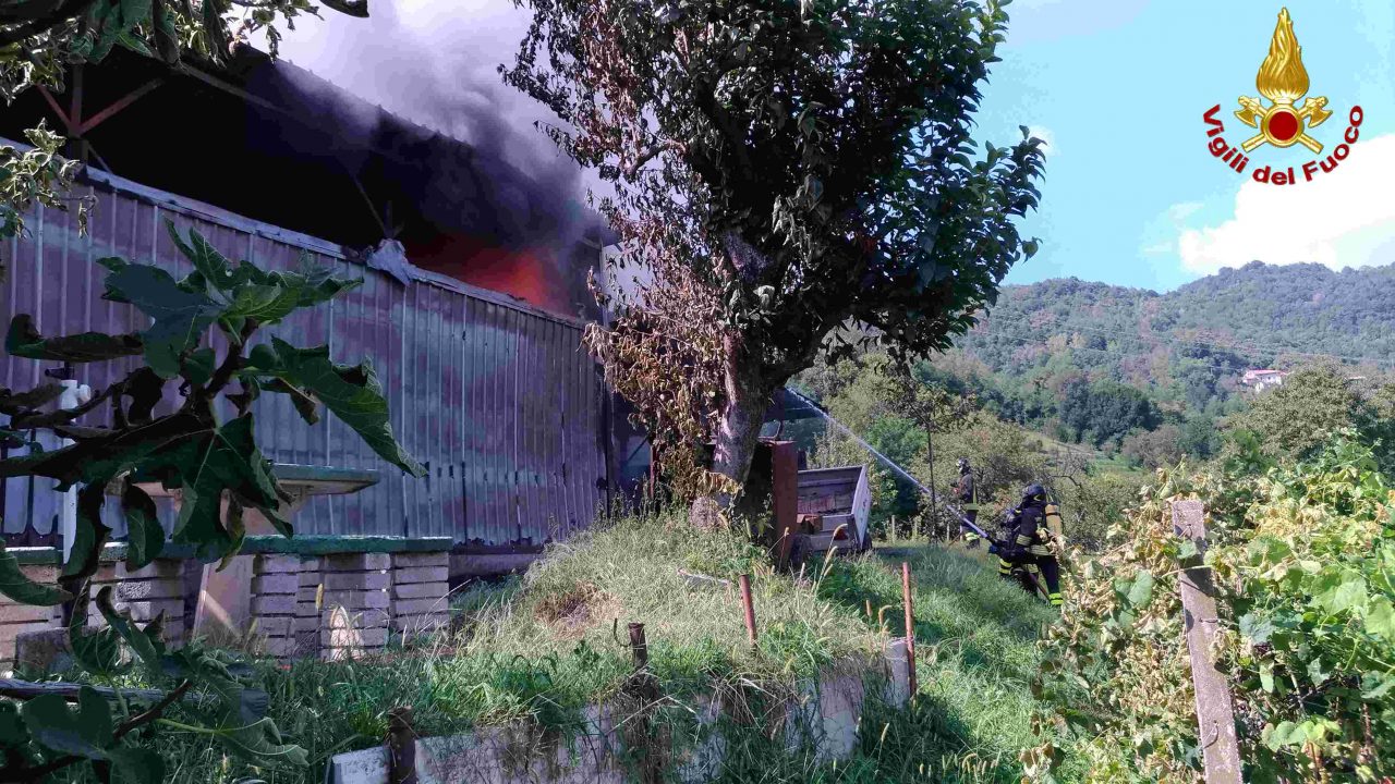 Colonna di fumo nero “invade” il cielo: a fuoco un capanno agricolo FOTO