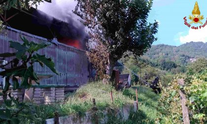 Colonna di fumo nero "invade" il cielo: a fuoco un capanno agricolo FOTO