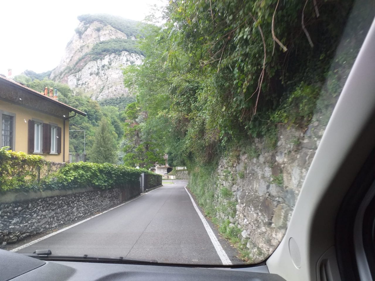 Rami e arbusti sulla strada per Carenno: rimpallo di competenze FOTO