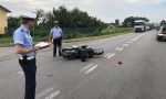 Incredibile in Brianza: cervo attraversa la strada, terribile impatto con una moto