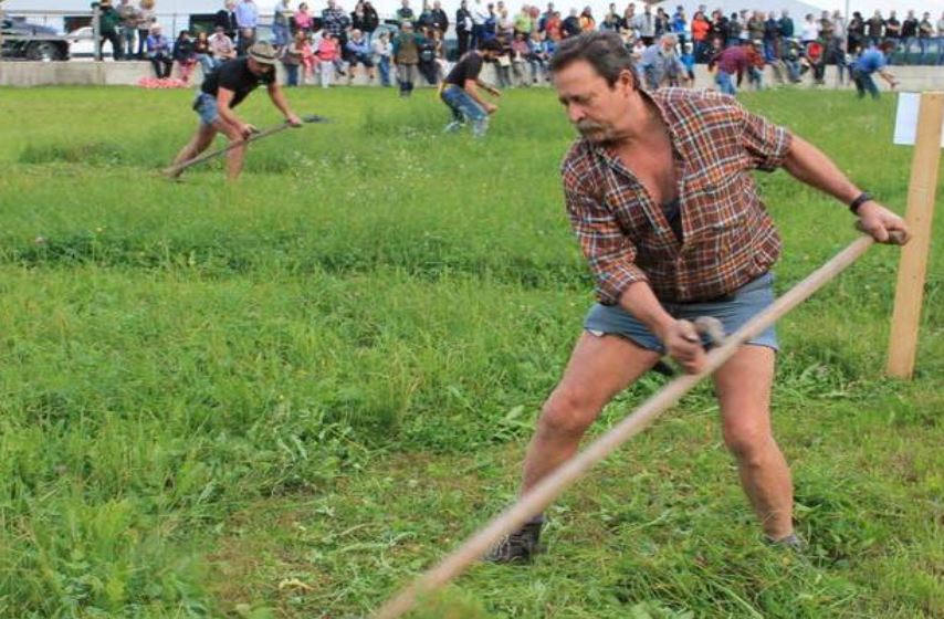 Partono le Manifestazioni Zootecniche Valsassinesi TUTTO IL PROGRAMMA