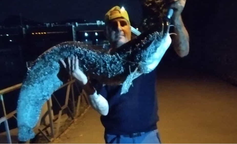 Un altro “river monster” pescato nell’Adda
