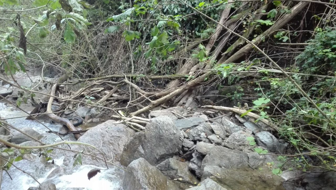 Unione Bellano Vendrogno e Provincia: lavoro di squadra per ridurre il rischio idrogeologico FOTO