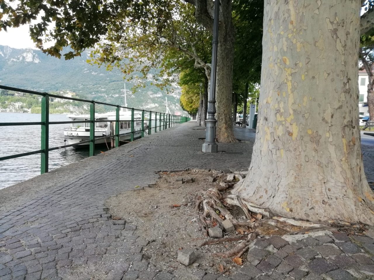 Lecco: da lunedì al via i lavori per 300 nuovi lampioni in città