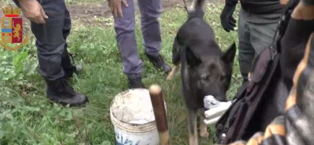 Spaccio di droga nei boschi lungo la Statale 36: “Cintureremo la zona”