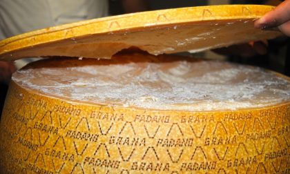 Dazi Usa sull'agroalimentare, la battaglia del Grana Padano