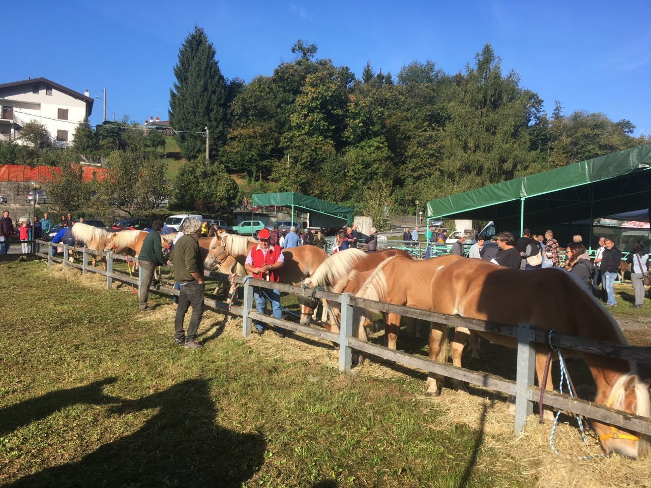 A Carenno la 28^ Fiera agricola della Valle San Martino