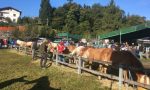 A Carenno la 28^ Fiera agricola della Valle San Martino