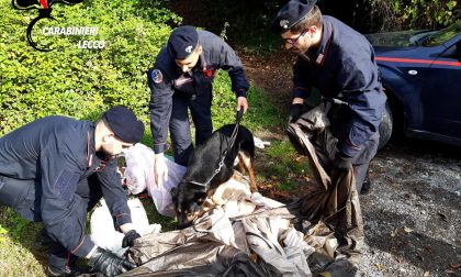 Controlli nel bosco della droga, una denuncia FOTO