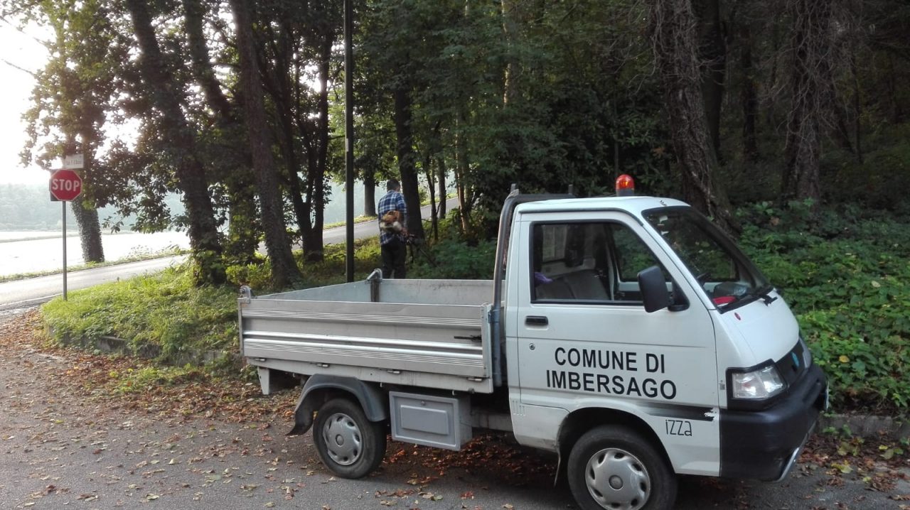 Green Boys a Imbersago