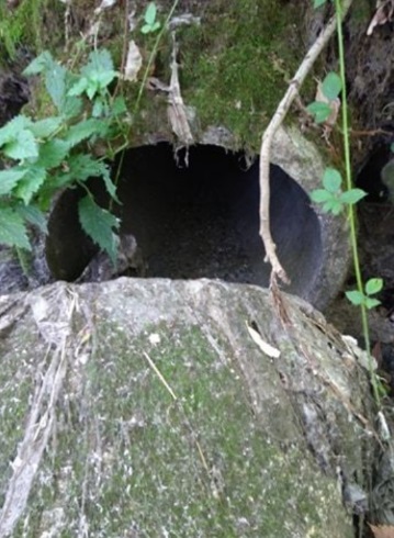 Condotto fognario spaccato a Magritto, Lrh rassicura: “Sopralluogo a metà mese”