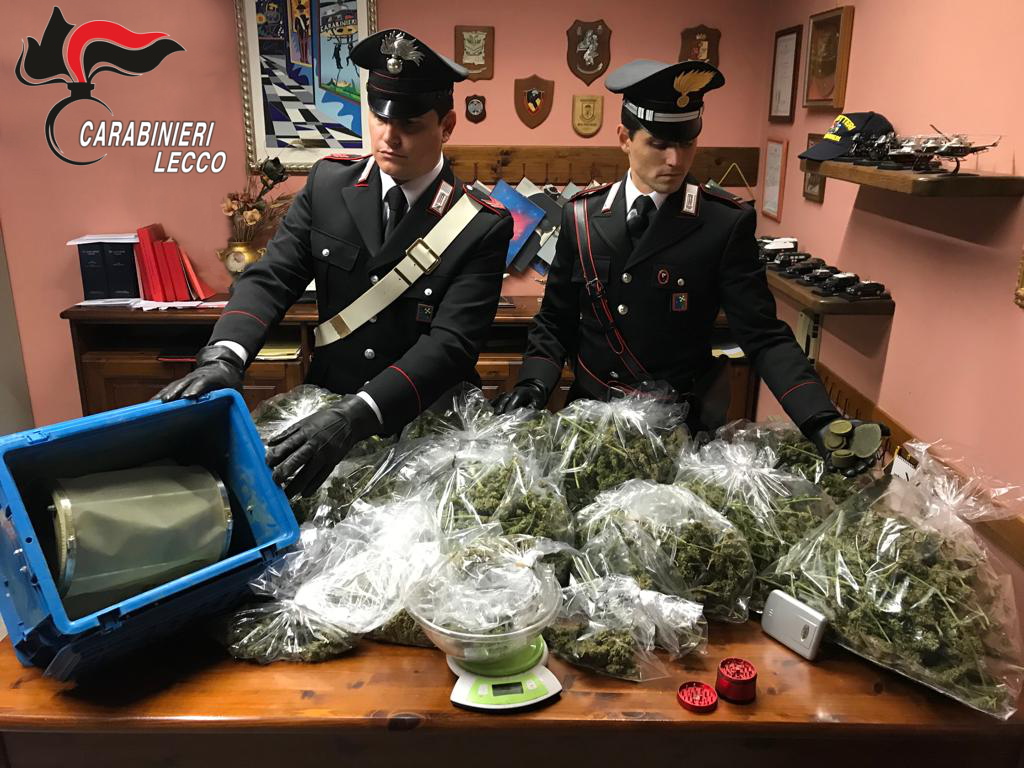 “Figli di marija”… tre fratelli gemelli beccati con 4 chili droga: arrestati