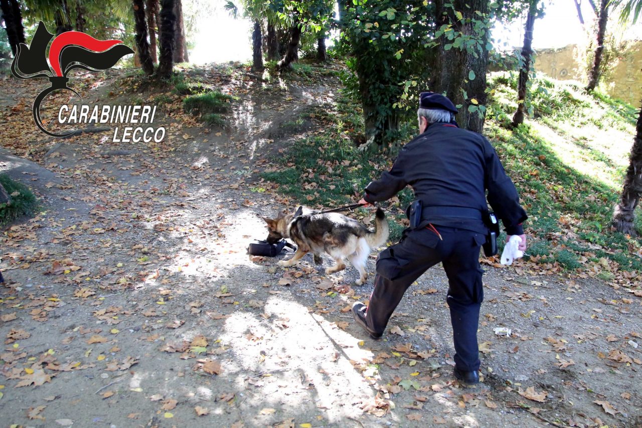 Controlli antidroga a tappeto: sale a 7 il numero di spacciatori arrestati in un mese FOTO
