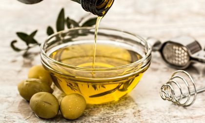 Olio lariano, olive decimate dal clima a Como-Lecco