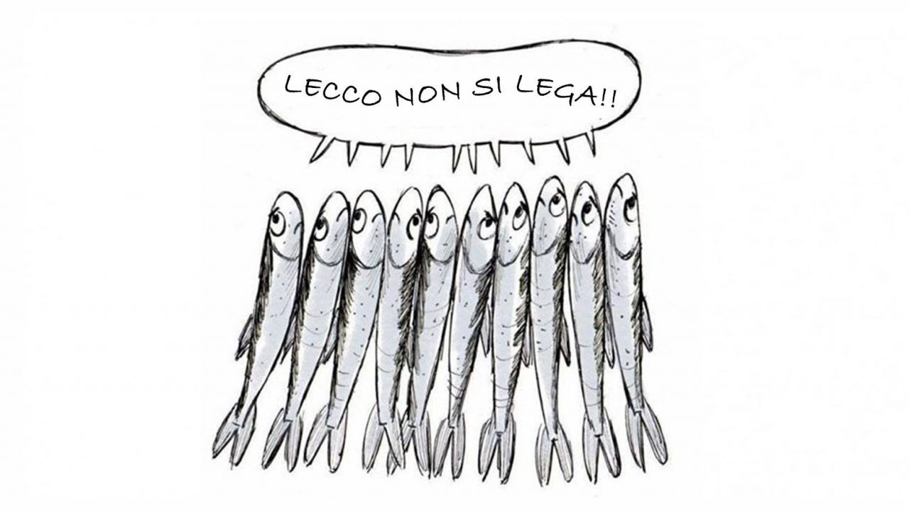 Sono nate le Alborelle, ovvero le Sardine di Lecco
