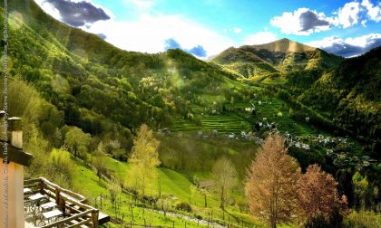 Agriturismi e filiere,  situazione sempre più preoccupante sul territorio