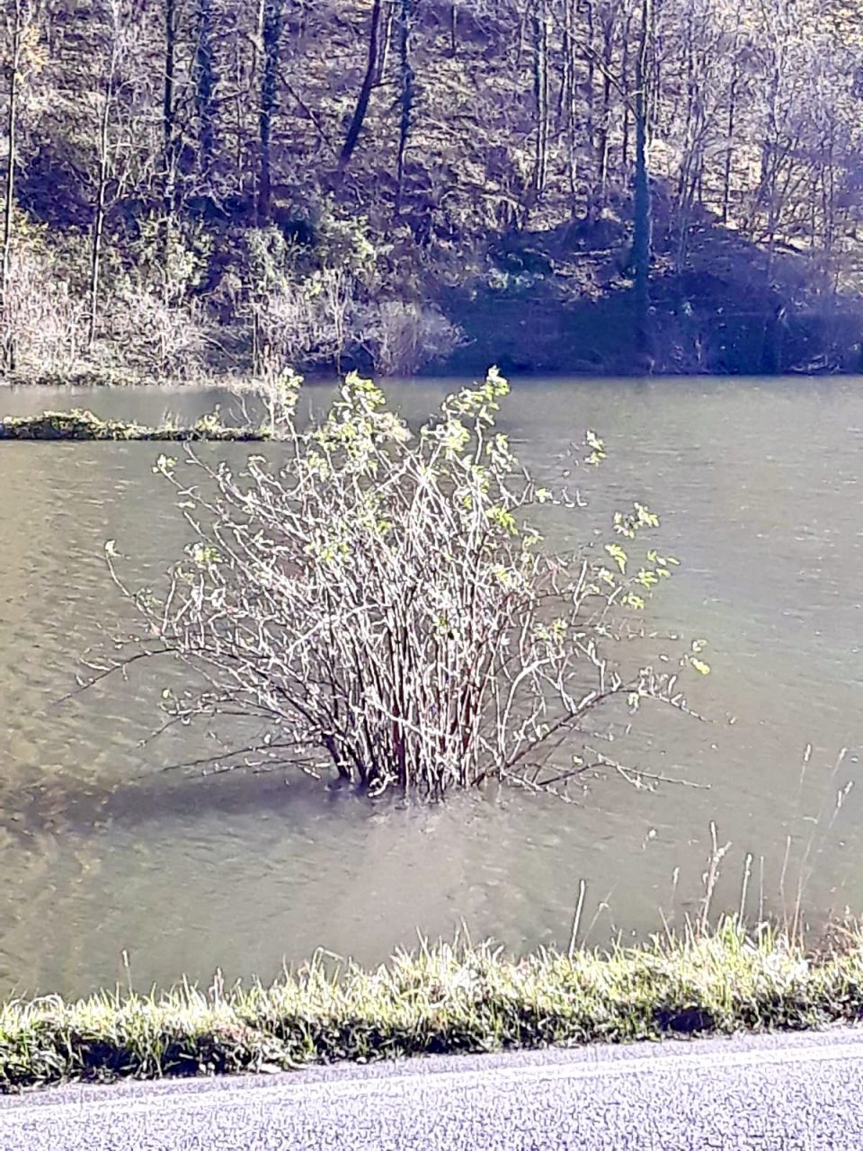 Coldiretti: “Troppi eventi estremi, occorre intervenire”