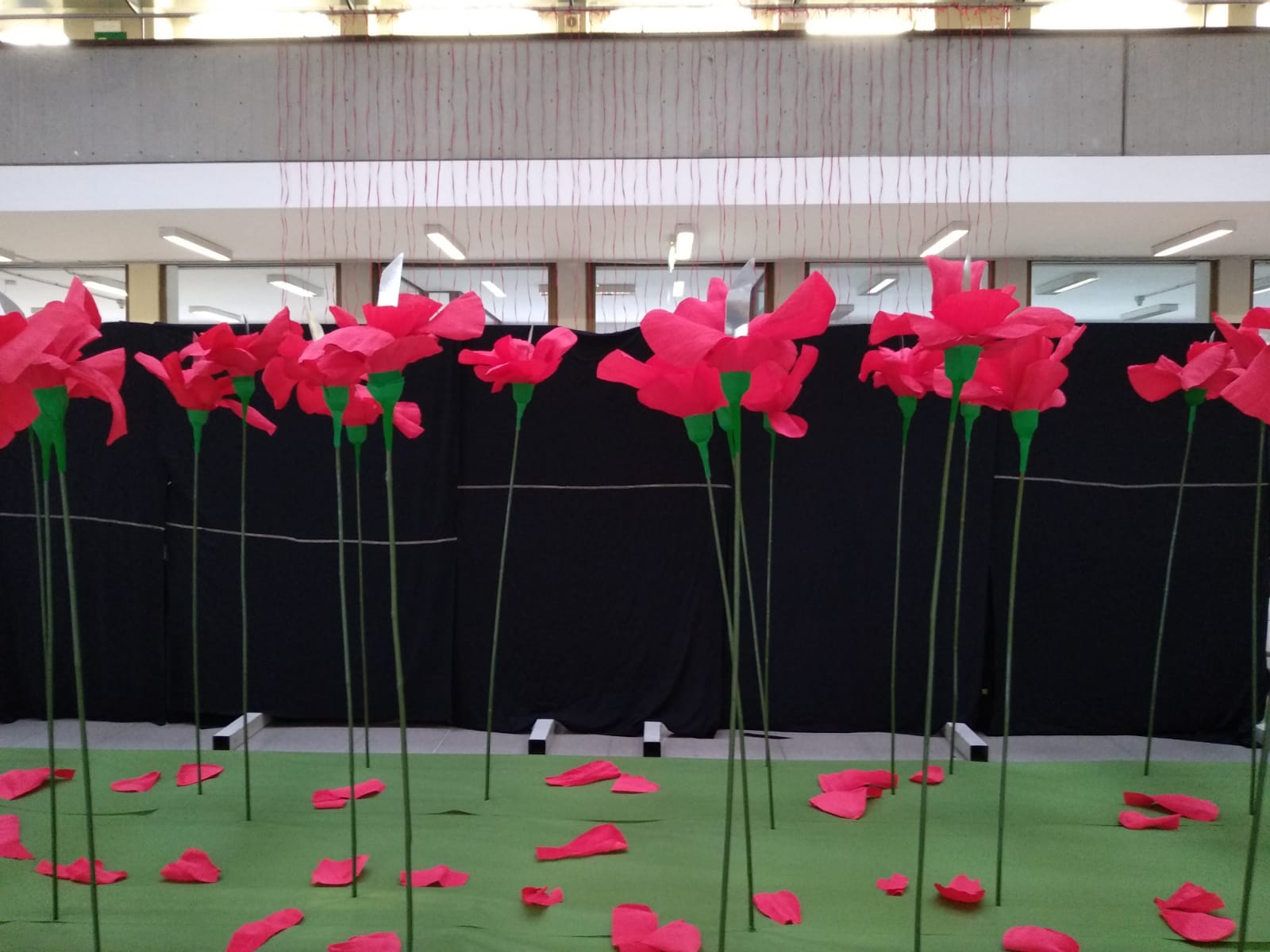Foto 5 Fiori Giornata contro la violenza sulle donne
