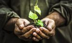 A Valmadrera la 69a Festa del Ringraziamento del Mondo Agricolo