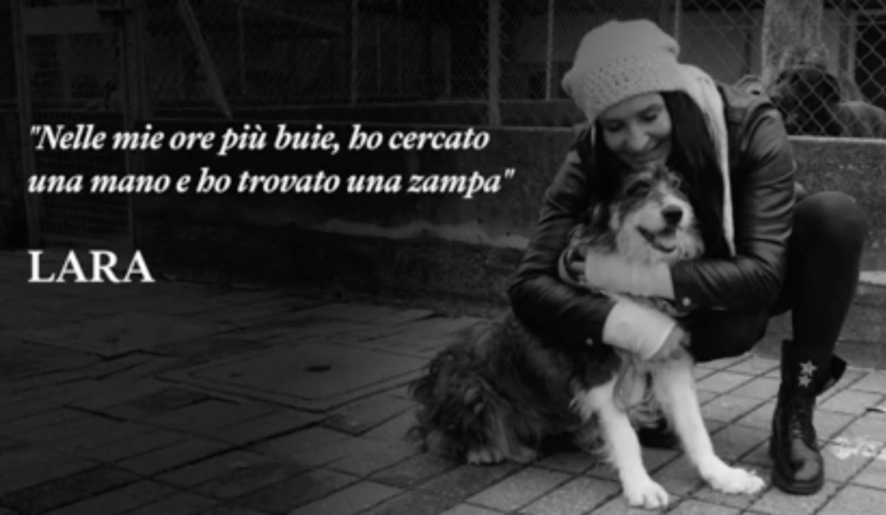 A Natale adottate un cane dai canili della Lombardia VIDEO