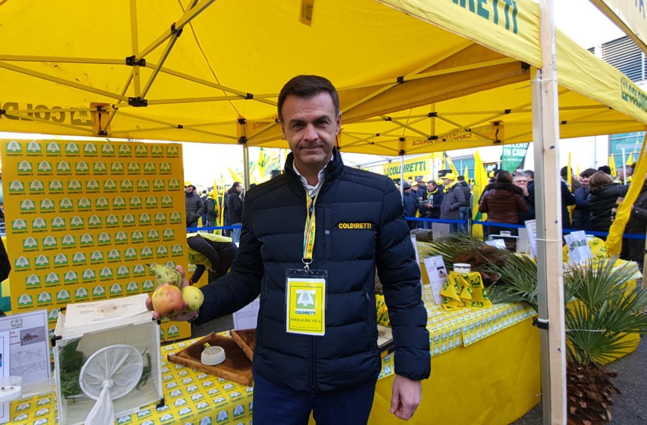 Da Como-Lecco a Fieragricola contro gli insetti  “alieni”: nei campi italiani 1 miliardo di danni