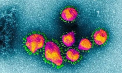 Coronavirus, primo caso sospetto nel Nord Italia