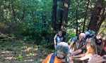 Natura Maestra di Vita: una domenica alla scoperta del bosco