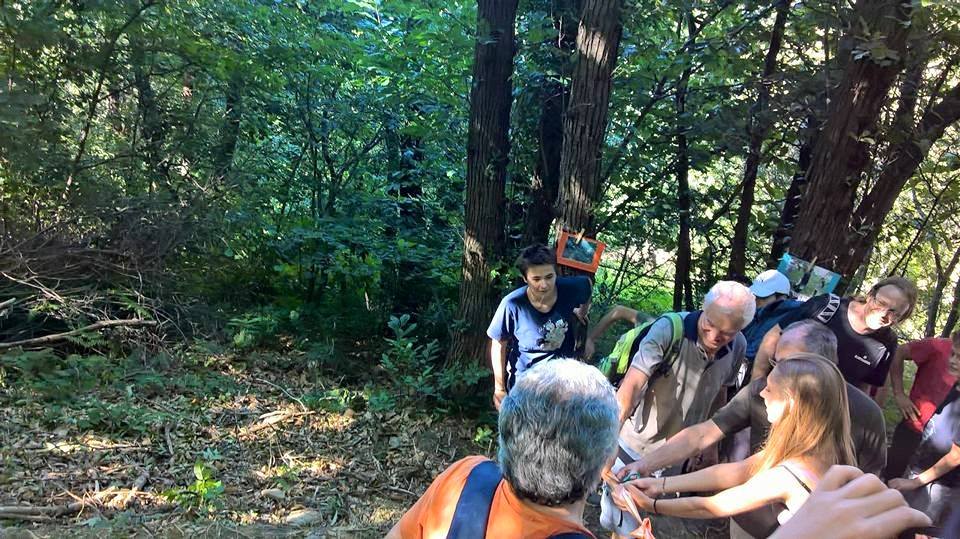 Natura Maestra di Vita: una domenica alla scoperta del bosco
