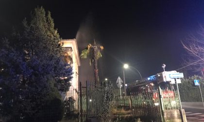 Petardo incendia palma a Villa d'Adda FOTO