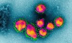 Coronavirus: scattano nuovi provvedimenti in provincia di Lecco