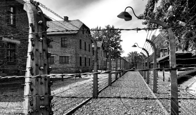 Giorno della Memoria: onore ai deportati con medaglie e pietre d’inciampo