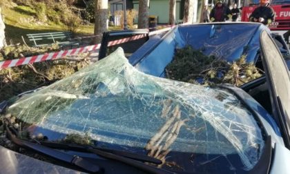 Tragedia sfiorata sul Lungolago a Lecco per il vento: albero si abbatte su un'auto FOTO