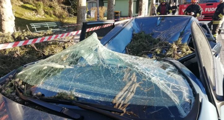 Tragedia sfiorata sul Lungolago a Lecco per il vento: albero si abbatte su un’auto FOTO