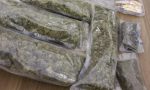 Dalla cannabis light a quella illegale nell'azienda agricola: arrestato 44enne