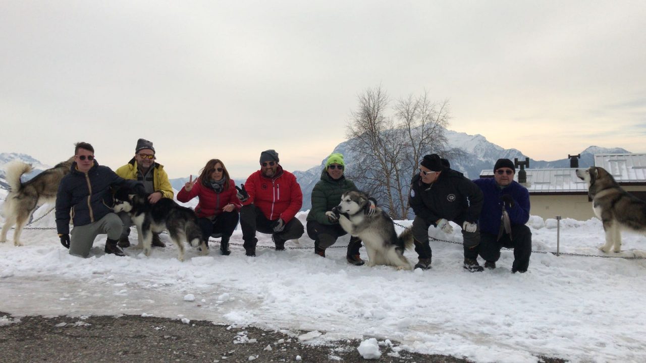 Tutto pronto per il XVI Alaskan Malamute Sleddog Day in Valsassina