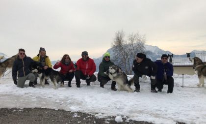 Tutto pronto per il XVI Alaskan Malamute Sleddog Day in Valsassina